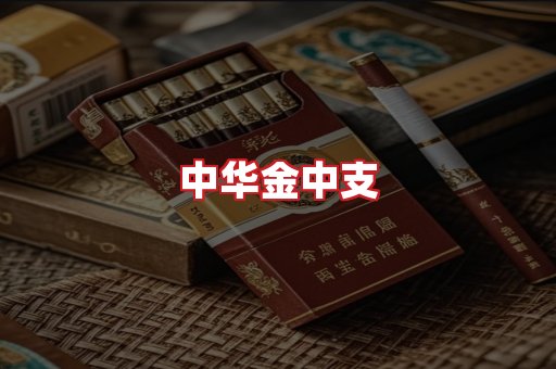 中华金中支